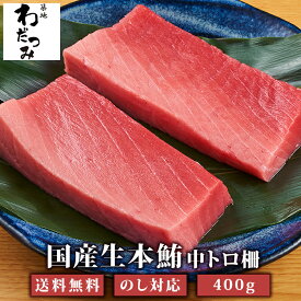 楽天市場 本マグロの通販