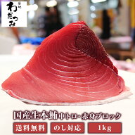【父の日】国産 生 本マグロ 背ブロック 中トロ 赤身 1kg 父の日ギフト お祝い 未冷凍 海鮮 マグロ たた…