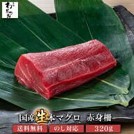 国産 生 本マグロ 赤身 柵 320g 母の日 内祝い お祝い 未冷凍 マグロ 刺身 まぐろ 鮪 お取り寄せ 冷蔵 手…