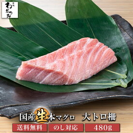 【送料無料 】 父の日 ギフト 生 本マグロ 本まぐろ 大トロ 柵 480g ◆ 鮪 マグロ たたき マグロ 刺身 お取り寄せ 本鮪 生マグロ 本マグロ マグロ丼 まぐろ丼 グルメ 冷蔵 トロ 高級 贈り物 贈答 お中元 熨斗 のし