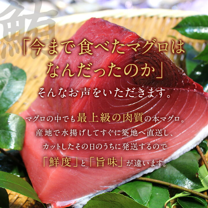 静岡 天然南まぐろ赤身と中とろ B ギフト プレゼント お中元 御中元 お歳暮 御歳暮 12周年記念イベントが