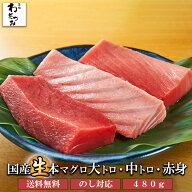 【父の日】国産 生 本マグロ 大トロ 中トロ 赤身 柵 セット 480g ギフト お祝い 未冷凍 国産まぐろ 刺身 …