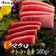 【父の日早割】本マグロ 中トロ 160g 赤身 200g 柵 合計360g 父の日 ギフト お祝い 海鮮 ギフト マグロ …