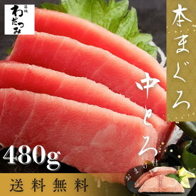 【送料無料】 父の日 ギフト ＼マグロ頭肉プレゼント中／ まぐろ 本マグロ 中トロ 柵 480g ◆ マグロ 鮪 本鮪 中とろ 刺身 お刺身 海鮮 刺し身 マグロ 冷凍 お取り寄せ 自宅用 夏 冬 グルメ 贈り物 贈答 記念 お祝い お中元 熨斗