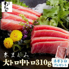 【送料無料】 父の日 ギフト ＼マグロ頭肉プレゼント中／ まぐろ 本マグロ 大トロ 150g 中トロ 170g 柵 320g ◆ マグロ 刺身 鮪 本鮪 中とろ お刺身 海鮮 マグロ 冷凍 グルメ お取り寄せ 贈答 贈り物 グルメ 自宅用 お中元 お祝い