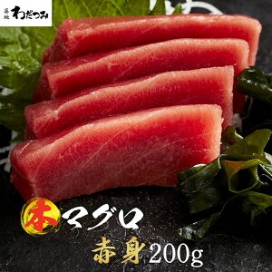 y z hV̓ ܂ {}O Ԑg  200g  }O hg  { hg CN hg ⓀO  O  蕨 p l j Ⓚ}O }OԐg {܂