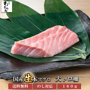 yz Mtg }O {}O g  160g }O hg ܂   VN  { Y܂ hg }O C̍K }O̎hg ܂ hgMtg O