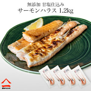 Y É d T[nX 1.2kg i300gx4j ͂炷 nX ͂炷