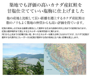 天然【紅鮭】&天然【時鮭】の紅白鮭各10切れ計20切セット【送料無料】【ギフト】