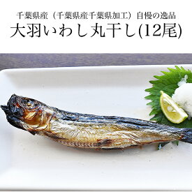楽天市場 大羽いわし丸干しの通販