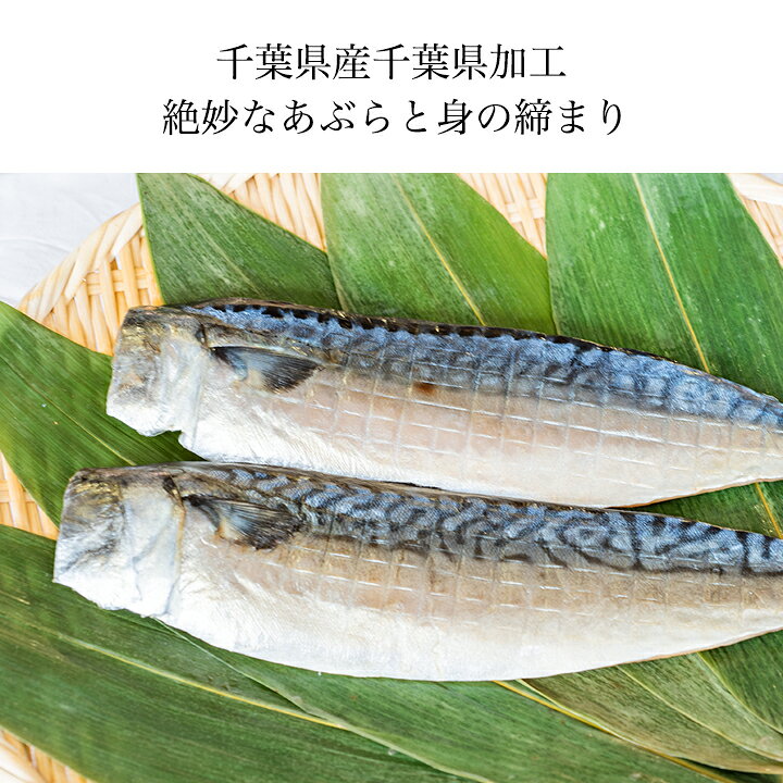 楽天市場 送料無料 2個で1 000円offクーポンあり 干物セット さば サバ 1枚毎 真空 個包装干物 塩 さば 文化干し 8枚セット 約1g 8枚入り 合計約960g 千葉県産 千葉県加工 食欲の秋 炭火 バーベキュー 海鮮 鮭の築地やまいち