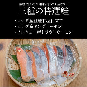 三種の特選鮭セットカナダ産天然紅鮭(甘口仕込)2切れカナダ産無塩キングサーモン2切れノルウェー産塩トラウトサーモン2切れ