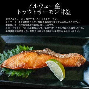 三種の特選鮭セットカナダ産天然紅鮭(甘口仕込)2切れカナダ産無塩キングサーモン2切れノルウェー産塩トラウトサーモン2切れ