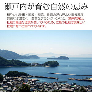 広島産かき2Lサイズ1kgとシーフードミックス800gセット