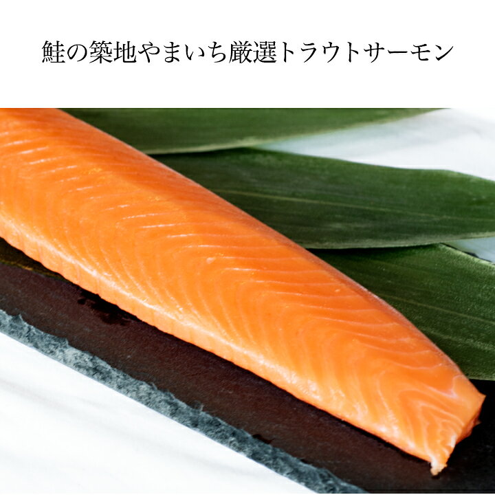 楽天市場 ３kg箱 送料無料 2個で1 000円offクーポンあり トラウトサーモン バックロイン チリ産 刺身 海鮮 ちらし 皮なし 骨なし 1本真空 業務用 食欲の秋 炭火 バーベキュー 海鮮 鮭の築地やまいち