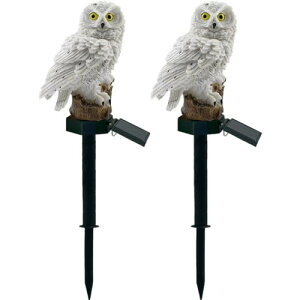 K[f\[[Cg  tNE \[[iCgCg Led CgXe[Nt ߍݎ h Ɩ iCgCg  tFX Ő O  2 