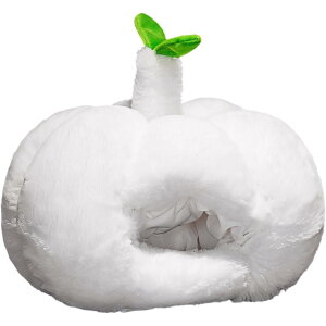 jjNXq ʔ jjŇ` ʂ݃Lbv Ԃ  RXv hXAbv p[eB[ ʐ^   