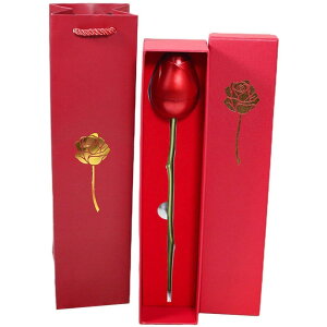 WG[{bNX ^ [Y O lbNX Mtg{bNX [P[X 񂰑 fB[X K[th Jbv NX}X o^C Mtg 