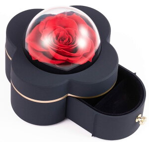 [YMtg{bNX bh G^[i[Y O{bNX ỉ ꂳ//K[th/ޏ NX}X o^Cf[ LO av[g 