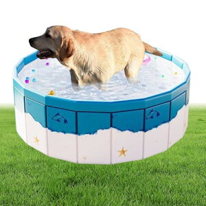 |[^uhbOv[,܂肽݃LbgXCoX^u | hCpCvt~߃ybgp^u O r[`   VуANeBreBp