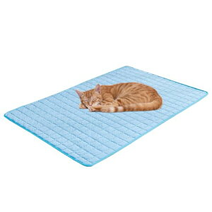 ybg N[}bg,pp}bg | ʋC 􂦂 69x48cm M΍Ή q Pl Os  Lv p