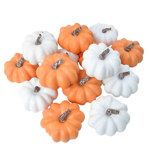 ppvL - H̐lHnEBJ{`fR[V | 16_ Ӎ p[eB[i Hp ԕr fXN rO[ H i