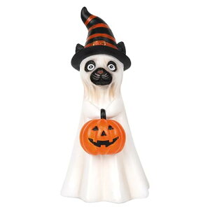 S[Xg̒unEB[̑ - ̖XqL̒|J{`̒usCȒ|Lb`gF̂߂̃nEB[̑rO[_Ƃ̖{IO