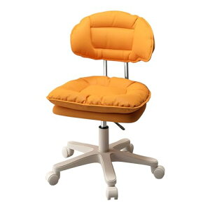 LX^[`FA É ω׏d K 360x] ʏ~ Ȗ ϋv ɗǂ  ]`FA ʋC PUU[ l̍Hw (IW)