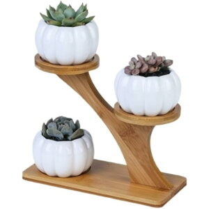 v^[ t[X^h ؐ A  X^h ~j ԑ  A ϗtAX^h X^h K[fbN (ZNVD)