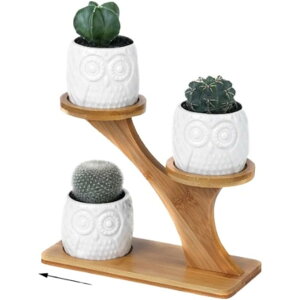 v^[ t[X^h ؐ A  X^h ~j ԑ  A ϗtAX^h X^h K[fbN (ZNVD)