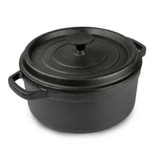 SV`[X[vlp̂Ȃ̓S`Ƃ݃V`[X[v琶StCp (28cm)