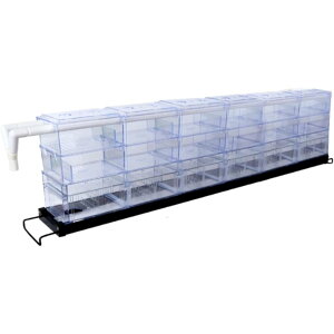 كtB^[ OtB^[ tB^[ كtB^[ MыtB^[ كhbv{bNX [tB^[{bNX ANtB^[{bNX JtB^[ ^N (6)