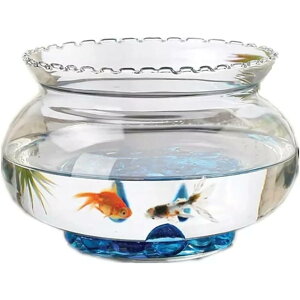 GrnArt ANAE L    ی^ KXԕr ϗtA CeA e e[u ANAE {E | e  CeA t[x[X ԕr