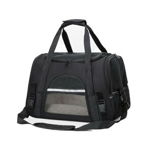 GrnArt LL[obOybgʋCV_[RpNgnhobO܂肽݌@\Op (sN)