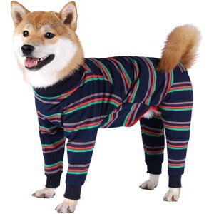 GrnArt ybg p[J[ tH ʋC _炩 킢 t@bV ʋC g  U ƒ (O[,XS)