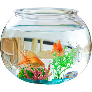 vX`bNAANAEAALpALpAی^AKXLpAANAh^AϗtApeA|J[{l[gA