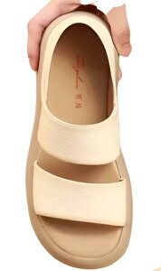 Ȗ{vfB[XT_y3cm₷z X|[cT_ fB[X t@bV  fB[X r ItBX₷ ʋC y JWA ʋ ʊw