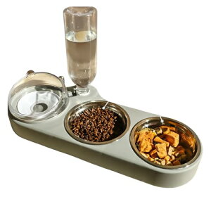 yLpo{Ez]|h~x[X͂˃Jo[ HivX`bN t H Lp RpNg݌v ybgpi ʔNΉ