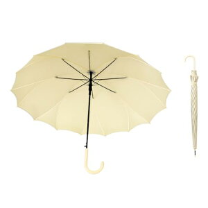 P fB[X P Jp  y 250g  J ՌՔM UVJbg  ϕ݌v ʋΒʊw ~J΍ v16{