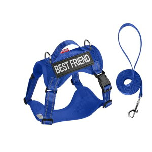 ypn[lXz y˃n[lXz Px ԈS Kf \ U s g[jOp ̈S FI fUC