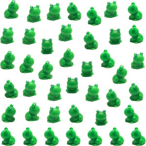 50  ~jJG ̑ BJG u ~j`A OƉƂ̑