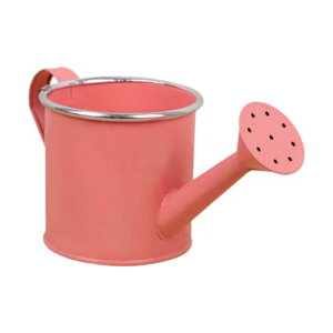 傤 L nht |[^u Mtg  OAp ƒp, 