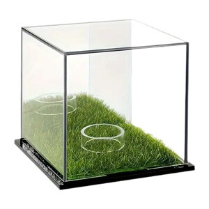 St{[fBXvCP[X @\hox[XLOiX^ht