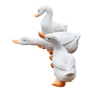 Aq̒u  Aؔ   O I p 3
