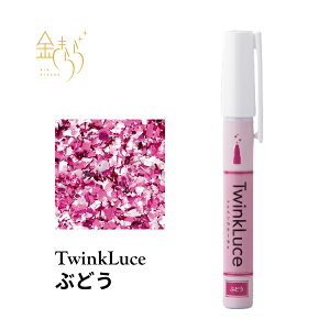 yAEgbg@ܖ2025N12zTwinkLuceԂǂygDCN[`FzpXeJ[@5g ┓ Hp Ԃǂ Ob^[  Hp Ob^[@Hp ┓