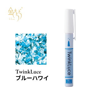 �y�A�E�g���b�g�@�ܖ�����2026�N3���zTwinkLuce�u���[�n���C�y�g�D�C���N���[�`�F�z�p�X�e���J���[�@5g�@�H�p �O���b�^�[ �┓ ���� �H�p �O���b�^�[ �H�p �┓