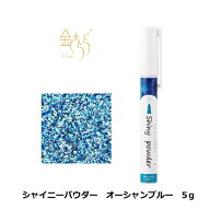シャイニーパウダー　オーシャンブルー ビビッドカラー 5g アイシング 着色料 製菓材料 パウダー トッピ…