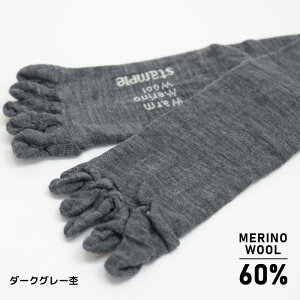 5{w\bNX stample X^v mE[ 5{w nC\bNX q ǂ LbY C mE[ j̎q ̎q    ₯h~ ₯\h ʉ ʊw 