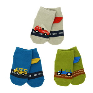 stample X^v 蕨AN \bNX 3g  蕨 q ǂ LbY C j̎q ̎q \bNX C LbY  q ʉ ʊw  킢  ₷