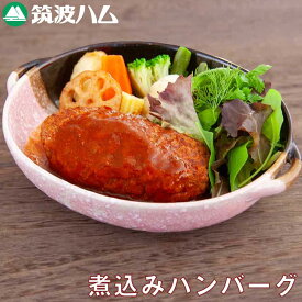 煮込みハンバーグ 筑波ハム 豚肉100％ 国産豚 茨城県産豚 実店舗人気商品
